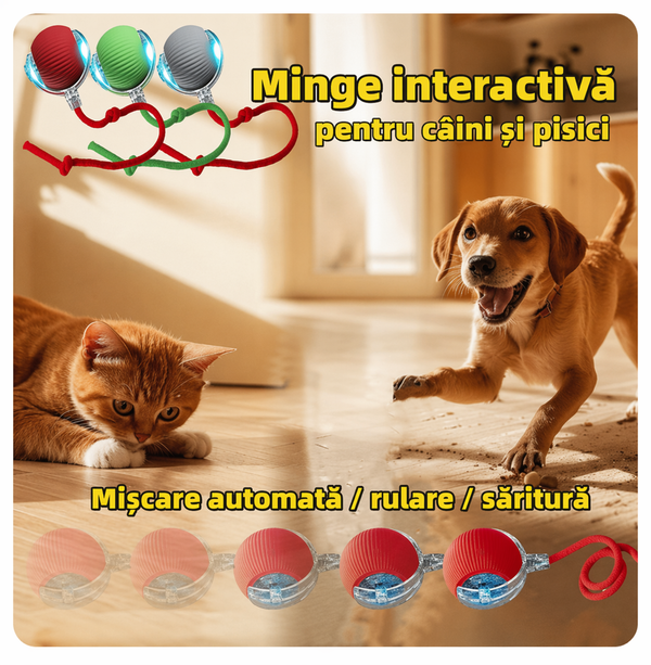 Mingea Magică de Joacă pentru Animale