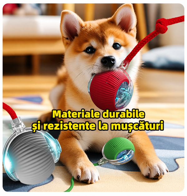 Mingea Magică de Joacă pentru Animale